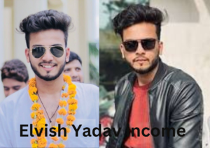 Elvish Yadav income