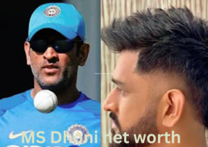 MS Dhoni net worth