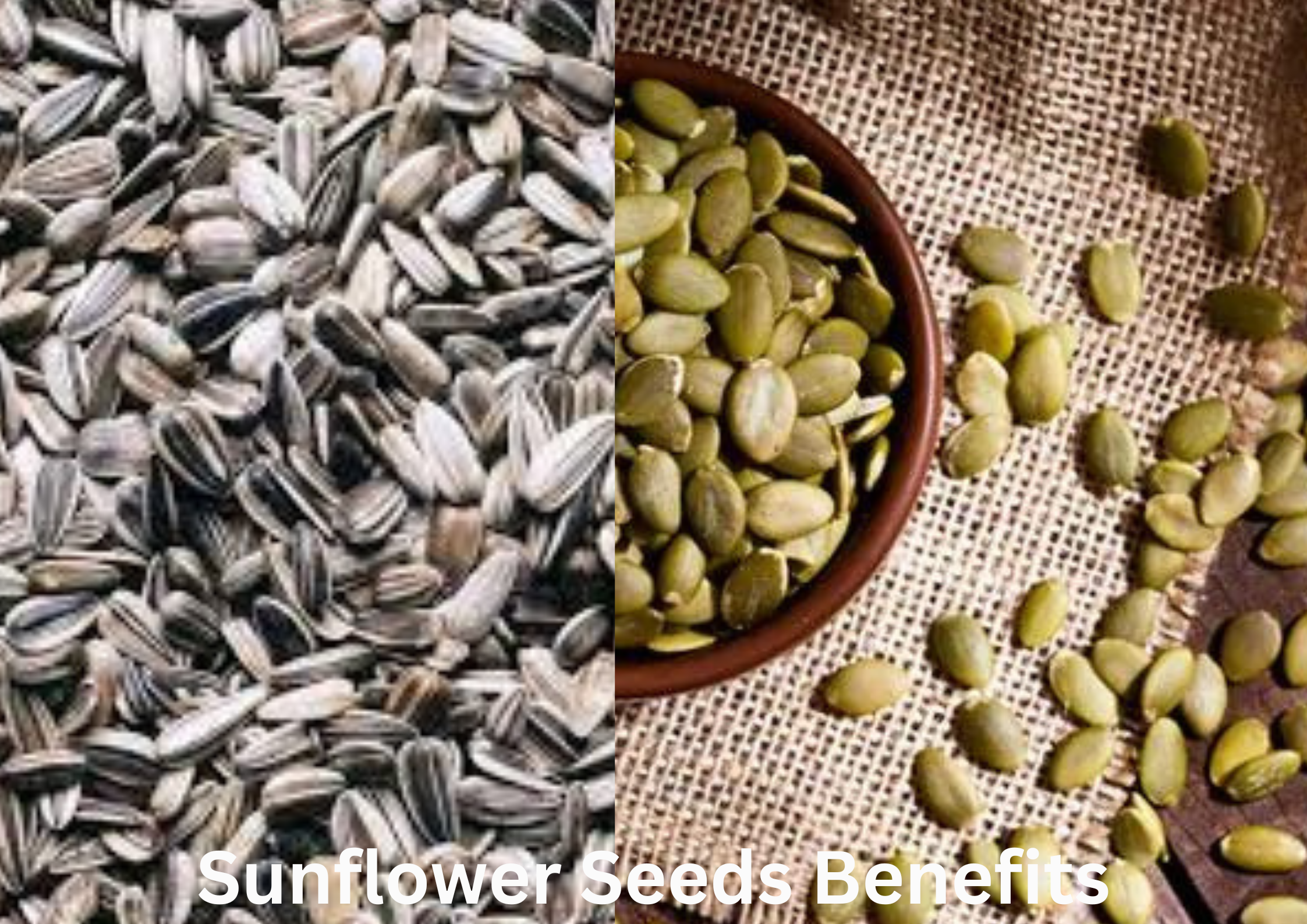 Sunflower Seeds Benefits